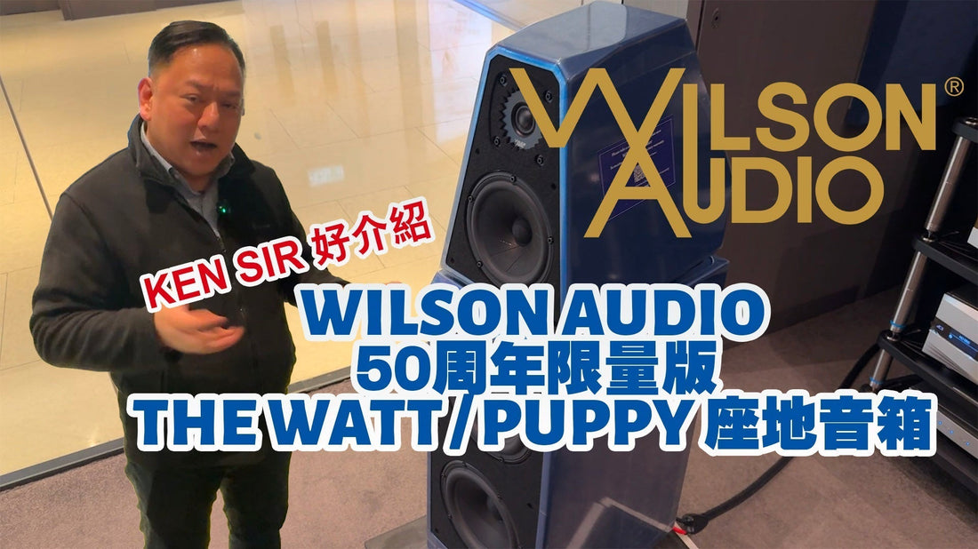 Ken Sir 好介紹 【Wilson Audio威信】50周年紀念版 the Watt/Puppy 座地音箱