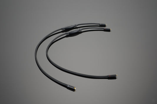 Transparent Audio 天仙配 SUPER RCA 模擬 訊號線