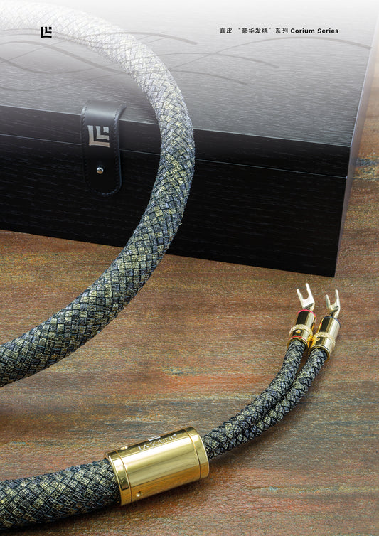 LA Sound 銀樂聲 Corium Speaker EVO1 音箱綫 EVO1 (喇叭綫）