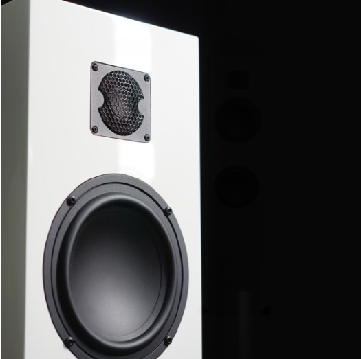 Gauder Akustik高德聲學 Arcona 60 MKII 2.5路座地式音箱